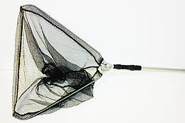 Підсака рибальська