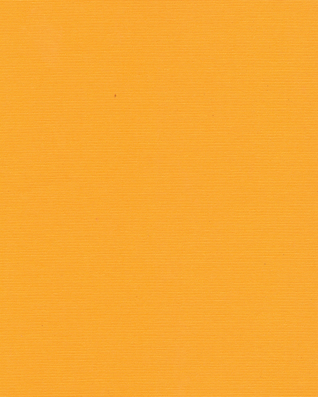 Тканинні ролети Len T-0852 orange