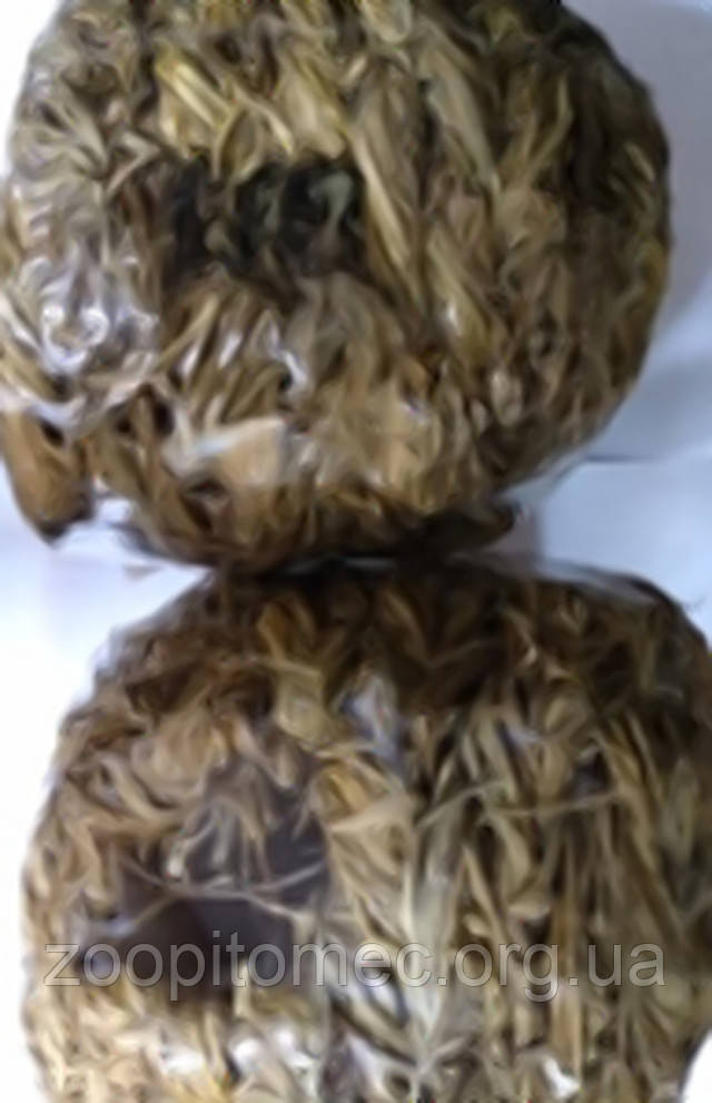 Тунель для гризунів