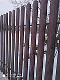 Штахетник під дерево "Горіх з сучком 3Д", Евроштакетник під дерево , Паркан під дерево з профнастилу., фото 3