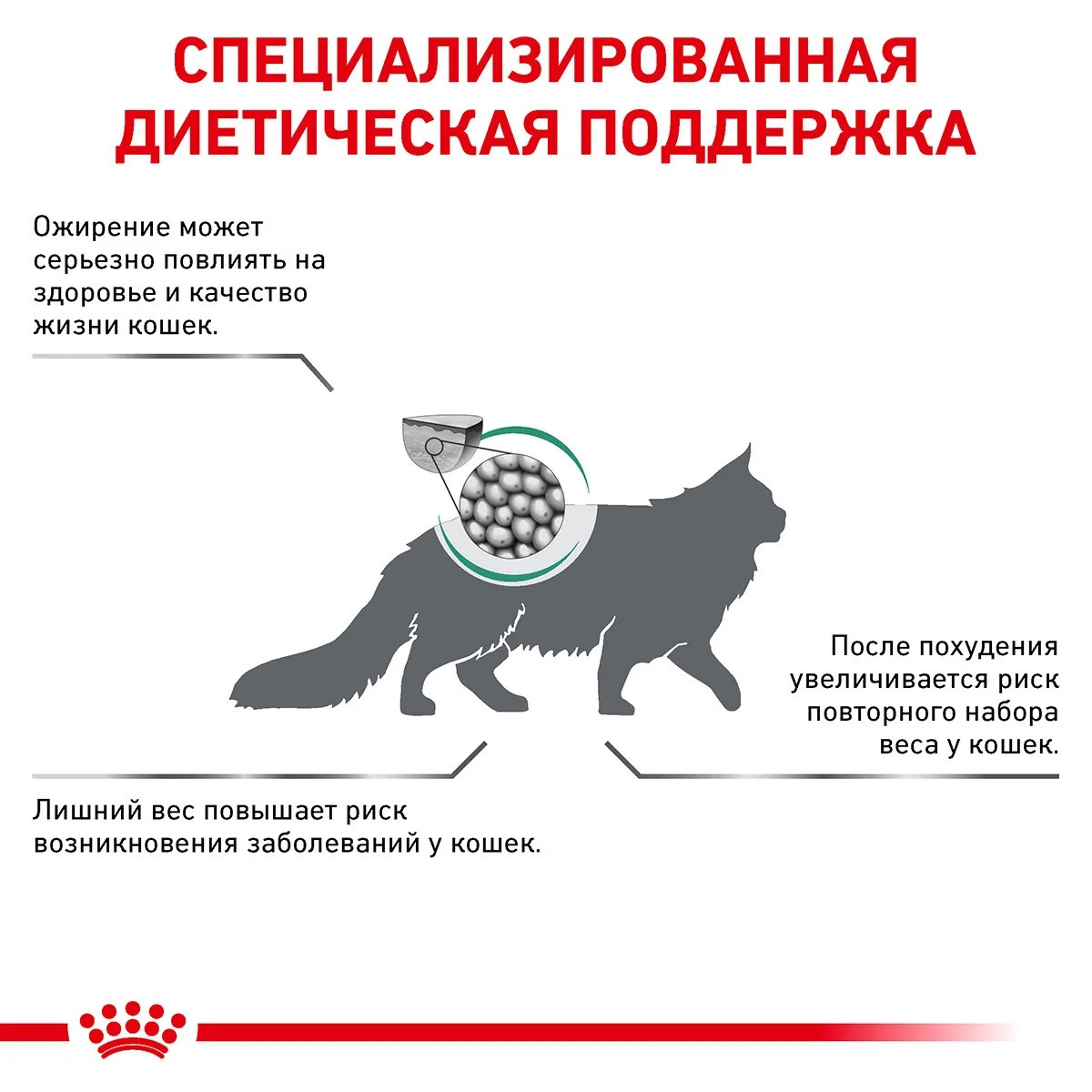 Royal Canin Satiety Weight Management (Роял Канин Сетаити Вейт Менеджмент) сухой корм для котов контроль веса - фото 5 - id-p1340215911