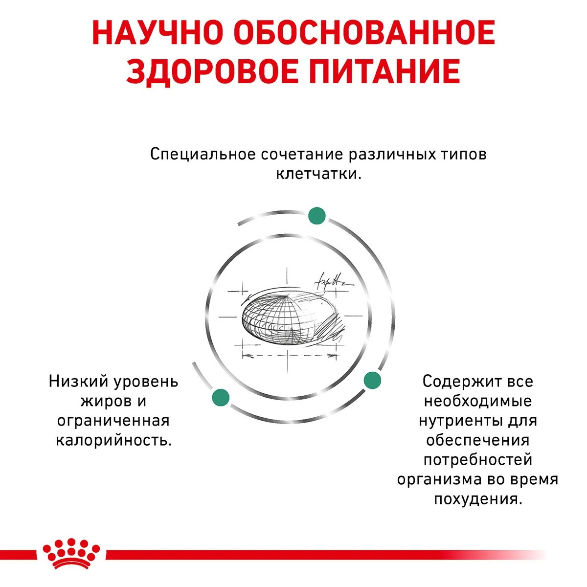 Royal Canin Satiety Weight Management (Роял Канин Сетаити Вейт Менеджмент) сухой корм для котов контроль веса - фото 2 - id-p1340215911