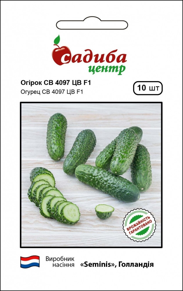 Огірок СВ 4097 ЦВ F1 10 шт Садиба Центр