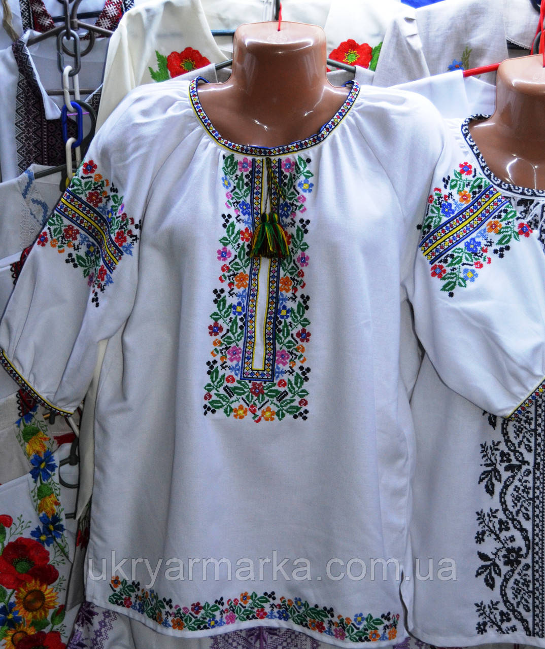 Жіноча вишита блуза "Казка"