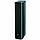 Focal Chorus 726 Black Style, фото 4