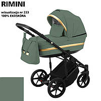 Дитяча універсальна коляска 2 в 1 Adamex Rimini Eco RI-233