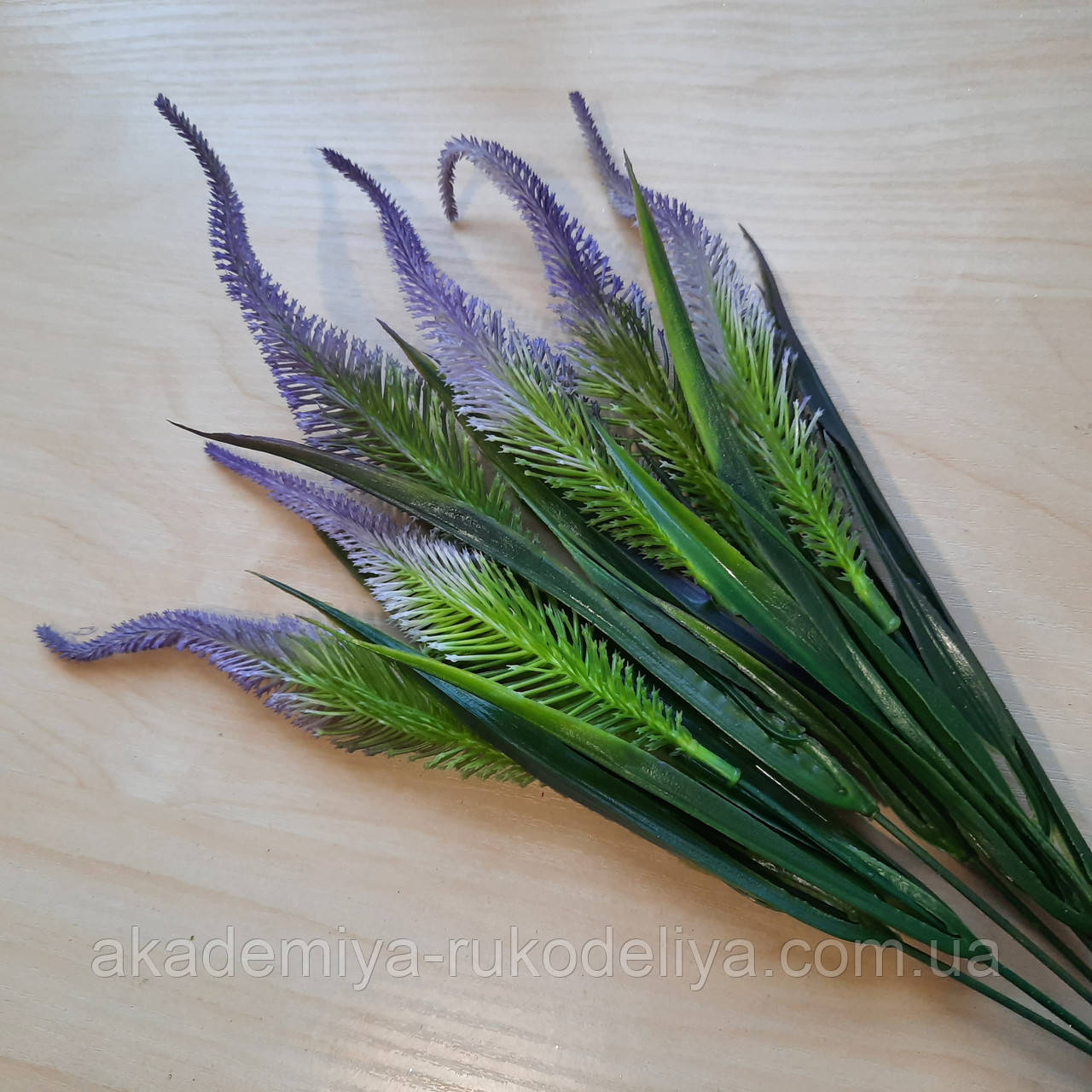 Кущ сірника фіолетова, 6 гілок, 40 см., фото 1