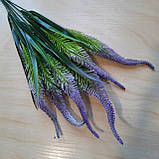 Кущ сірника фіолетова, 6 гілок, 40 см., фото 2