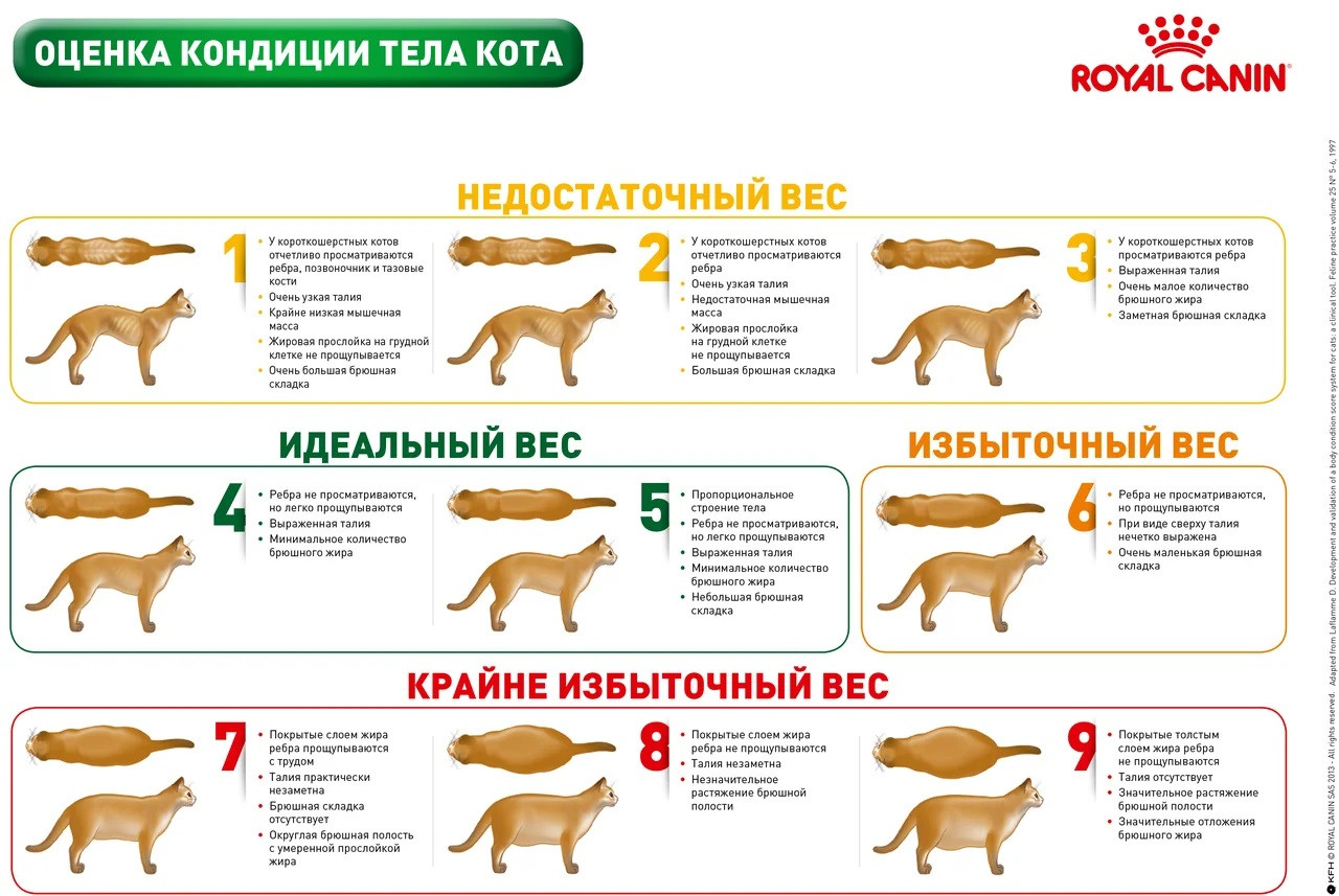 Royal Canin Senior Consult Stage 2 (Роял Канин Сениор Консалт Стейдж 2) сухой корм для кошек от 7 лет 1.5 кг. - фото 3 - id-p1340782126