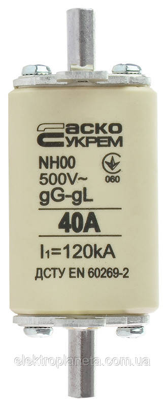 Запобіжник плавкий NH00 40A gG A0050010011, фото 1