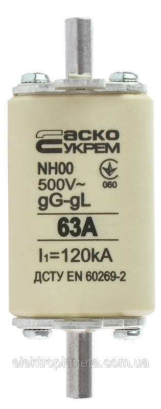 Запобіжник плавкий NH00 63A gG A0050010013, фото 1