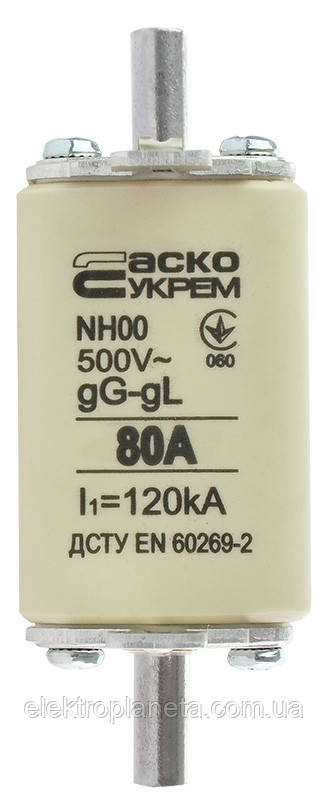 Запобіжник плавкий NH00 80A gG A0050010014, фото 1