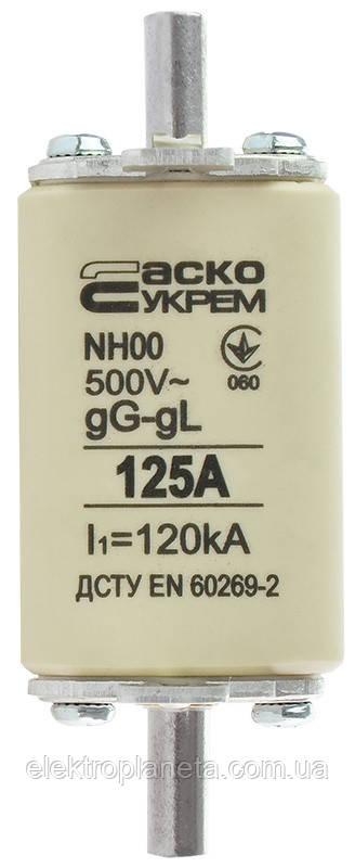 Запобіжник плавкий NH00 125A gG A0050010016, фото 1