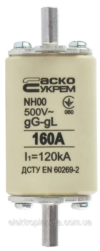 Запобіжник плавкий NH00 160A gG A0050010017, фото 1