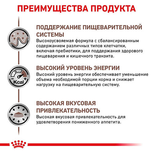 Royal Canin Gastrointestinal (Роял Канин Гастро Интестинал) влажный ...