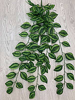 Звисаюча ампельна зелень традесканція ( 98 см), фото 2