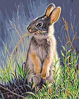 Картина за номерами "Лісовий заєць" BrushMe полотно на підрамнику 40x50см GX36013