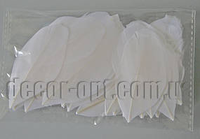 Пелюстки перові білі 4-8 см/50 шт.