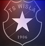 ФЕКАЛЬНИЙ НАСОС WISLA WQS 2,5 НЕРЖАВЕЙКА З ПОДРІБНЮВАЧЕМ ГАРАНТІЯ 5 РОКІВ, фото 9