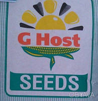 Насіння кукурудзи G Host GS105M25 ДЖІ ХОСТ ФАО 250 ( стулок)