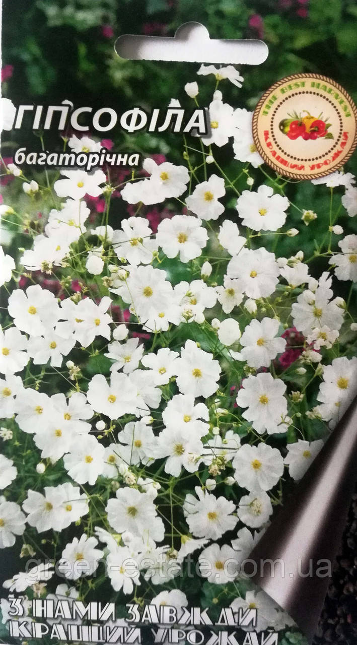Гіпсофіла 0,5 р.