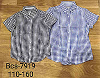 Рубашки на мальчиков оптом, Glo-Story, 110-160 рост. BCS-7919