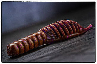 Силіконова приманка Fanatik Giрnoz 2.2" колір 121