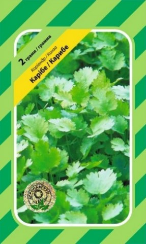 Коріандр Карібе 2г (Агропакгруп)