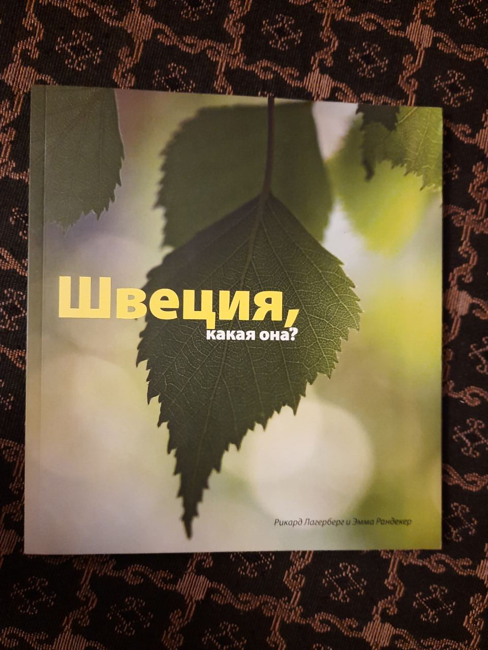 Швеція, яка вона. Рікард Лагерберг, Емма Рандекер