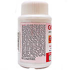 Гоутекс (Goutex, Indian Pharmaceutical) — Аюрведа для опорно-рухової системи, фото 3