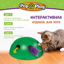 Інтерактивна іграшка для котів Pop and Play | Іграшка для котів, фото 2