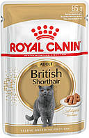 Royal Canin British Shorthair (Роял Канін Брітіш Шортхейр) вологий корм для кішок породи британська 85 г х 12 шт.