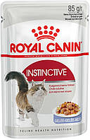 Royal Canin Instinctive Jelly (Роял Канін Інстинктивн желе) вологий корм для кішок від 12 міс. 85 г х 12 шт