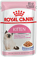 Royal Canin Kitten Jelly (Роял Канин Киттен кусочки в желе) влажный корм для котят до 12 мес. 85 г х 12 шт