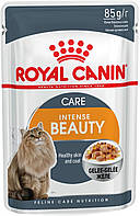 Royal Canin Intense Beauty Jelly (Роял Канин Интенс Бьюти) влажный корм для кошек для кожи и шерсти 85г х 12шт