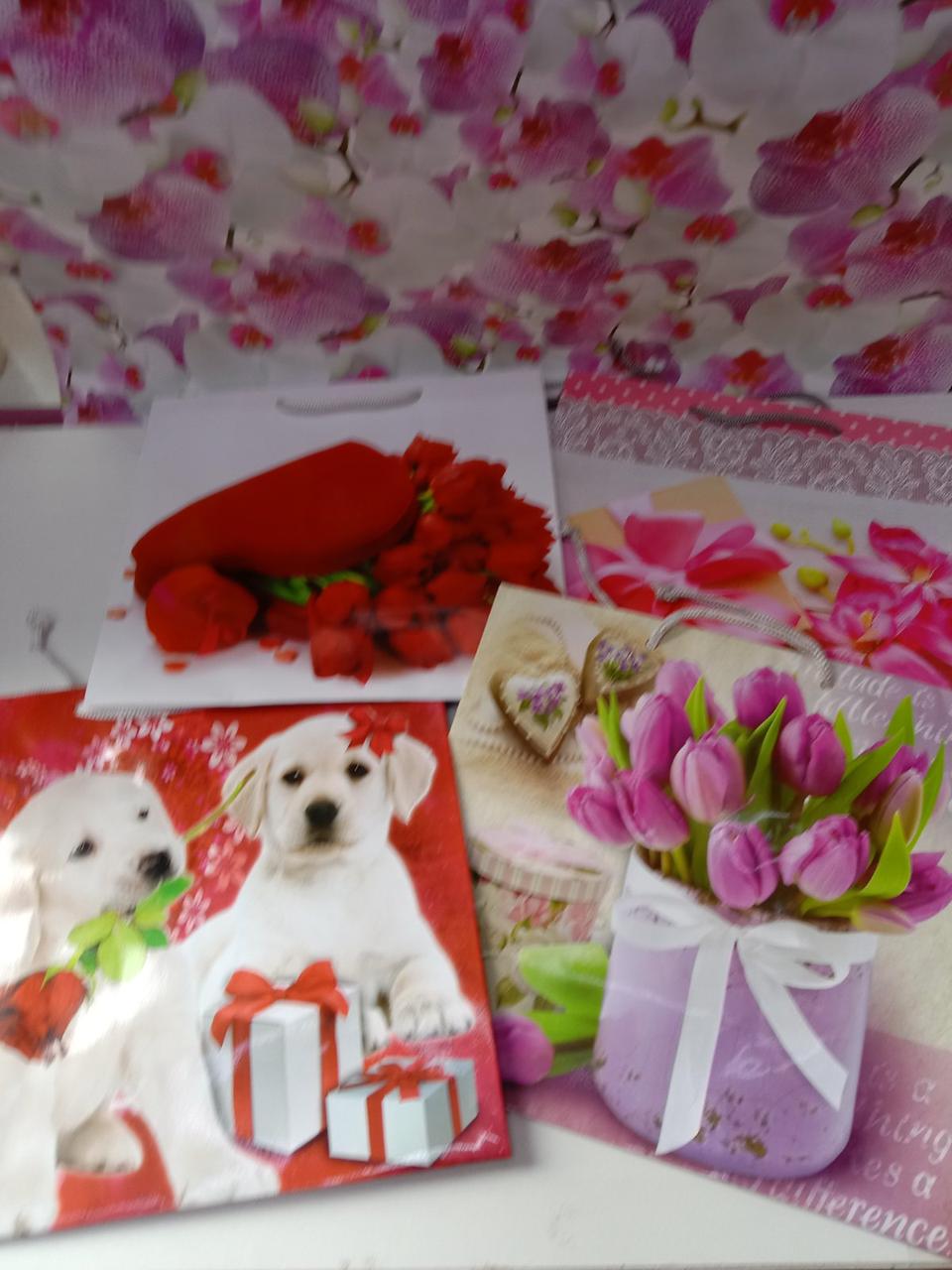 Подарунковий пакет паперовий з малюнком на свято, фото 1