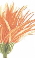 Close-Up Orange Flower Набор для вышивки крестом Lanarte 35052