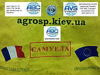 Соняшник Самуела стійкий до семи рас заразахи A-G+. Урожайний гібрид Самуела 49ц/га Маїсадур для Юга, фото 3
