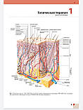 Хебіф Шкірні хвороби: діагностика та лікування 2021 рік Посібник атлас з дерматології, фото 6