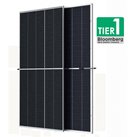 Сонячна батарея Trina Solar TSM-DEG21C.20 635W BF Bifacial