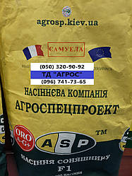 Насіння соняшнику Самуела Маїсадур врожайність 49ц/га Гібрид Саумела стійкий до вовчка рас A-G+ і спеки. Урожай 2020 року.
