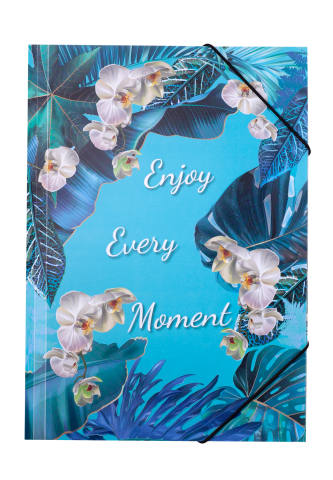 Папка на гумці А4 BM.3958-14 EXOTIC блакитна (12/120), фото 1