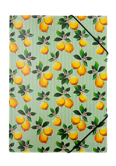 Папка на гумці А4 BM.3958-15 LEMONS салатова (12)