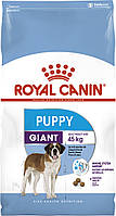 Сухой корм для щенков собак очень крупных размеров Royal Canin GIANT PUPPY 1 кг