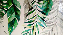 Вінілові наклейки на стіну, на вітрину, шафи "Більке зелене листя" 102 см*66 см (лист 60*90 см), фото 2
