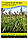 Насіння Суданська Трава Миронівська-10, (Сорго Суданське), 100 г, фото 2