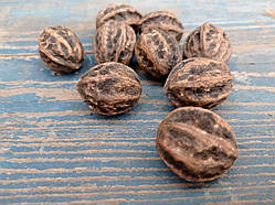 Горіх натуральний маньчжурський, 9 шт\уп