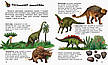 Енциклопедія дошкільника. Динозаври та інші доісторичні тварини. Каспарова Ю. 2+ 32 стор. С614022У, фото 4