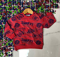 Реглан на хлопчика [з начосом], розмір/зростання 98.