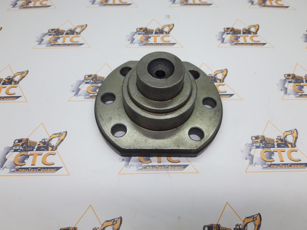 Шворень поворотного кулака Dana Spicer мост CARRARO 212.06.700.04  212.06.700.12, 2120670004, 2120670012, фото 1